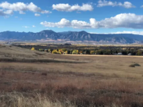Relaxing Modern Basement Suite w/Private Entrance