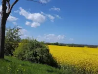 Oberdeck, Klützer Winkel, Wohlenberg/ostsee Hotels in Klutz