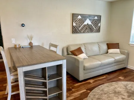 Contemporary Studio ... dog-friendly