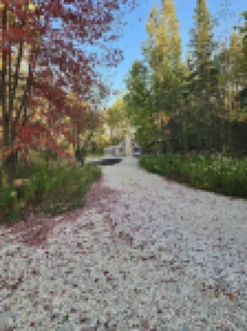 Don't Miss Winter in Door County! Stay @ the Woods!