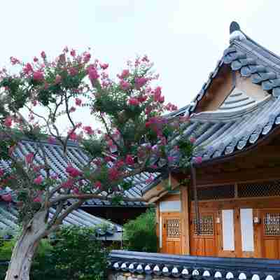 ダジョン ゲストハウス - ホステル Hotel Exterior