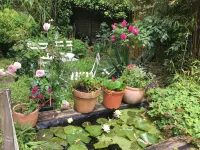 Mansion - Ploemeur Hotels in Ploemeur