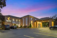 Comfort Inn & Suites Mundelein-Vernon Hills Hotels in Vernon Hills
