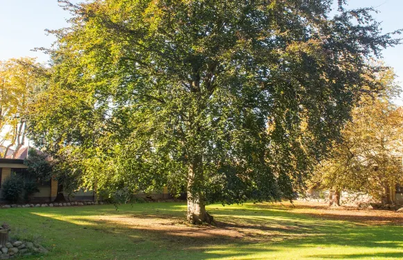 布魯門斯李斯特克羅旅館