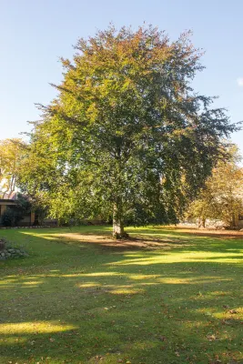 Blommenslyst Kro Hotels in Blommenslyst