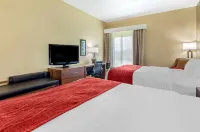 Spark by Hilton Waynesboro