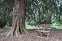 1-Bed Cabin, 2 Adults, Outdoor Bath & Wood Burner Hotels in Carluke