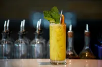 Elyton Hotel, Autograph Collection - bar