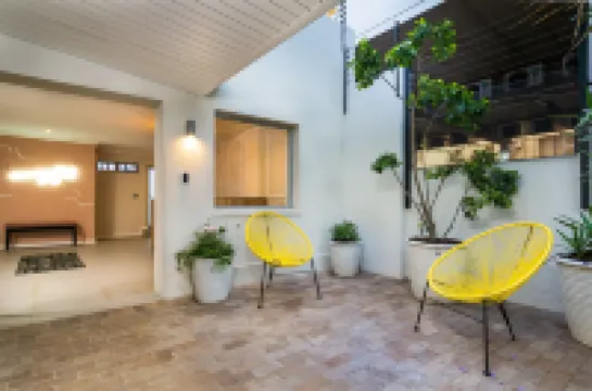 Curiocity Green Point