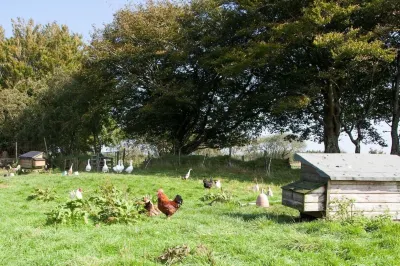 Inviting 2-Bed Cottage in Newcastle Emlyn Các khách sạn ở 