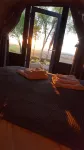 Eco Indigo