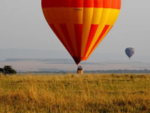 Simba & Oryx Nature Camp Hotels in Mara
