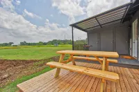 Charming Cottage with Cozy Loft and Cedar Porch - Delightful Hill Country Retreat فنادق في Blanco