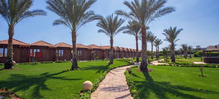 Xperience Golden Sandy Beach Hotels in Sharm El Sheikh