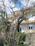 Villa vue mer et Oliviers