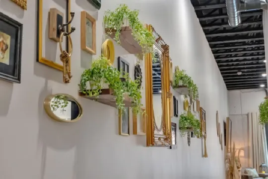 Urban Artistry Loft Retreat Отели в г. Кингспорт