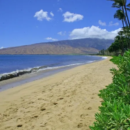 Kihei Beach, #603
