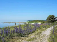 8 Person Holiday Home in Gotlands Tofta