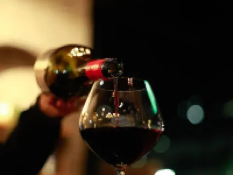 Majestic Lake Front Hotel & Suites Hotels in Kaski