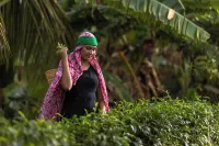 Bolagala Agro Floating Resort Hotels in Gampaha