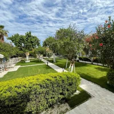 Alican Pension Hotels near Chimera