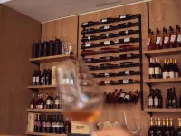 Hotel Piran Hotels in Piran