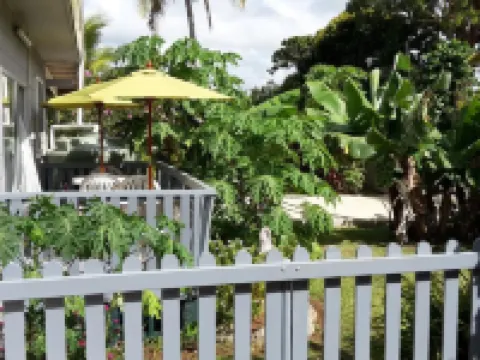 黎明住宿加早餐旅館 湯加塔布島酒店