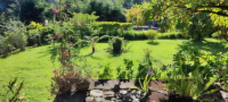 安德魯青年旅舍