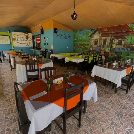 Hotel El Icaco Tortuguero Отели в г. Колорадо