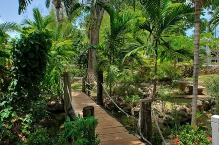 Hibiscus Lodge Hotel Отели рядом с достопримечательностью «Тертл Ривер Фолс & Гарденс»