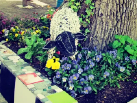 1AA ウィルヘルミニア アパートメンツ ステレンボッシュのホテル