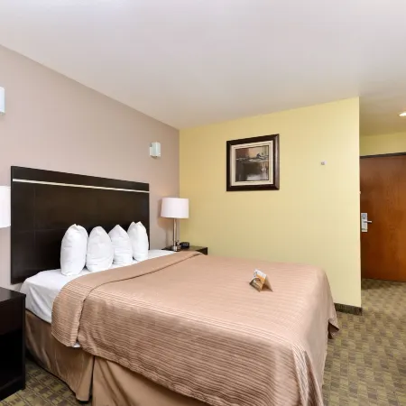 Quality Inn & Suites Elko