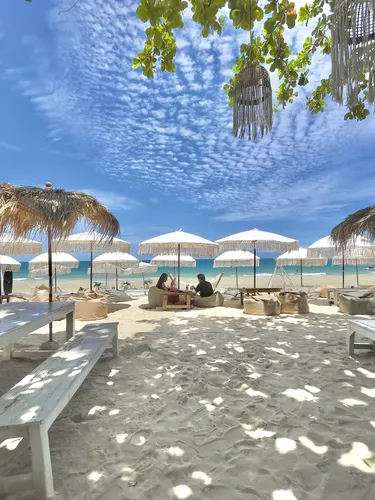 รูปภาพของต้นสักรีสอร์ท