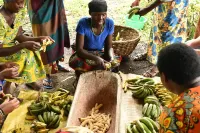 Red Rocks Rwanda - Campsite & Guesthouse Hotels in 