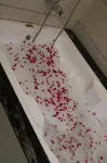 Hotel Brahma Horizon - baignoire