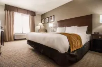 Quality Suites St. Joseph Hotels in Saint Joseph