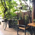 Nature Home Hostel & Cafe Hotels in 