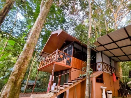 Cool Waters Jungle Villas