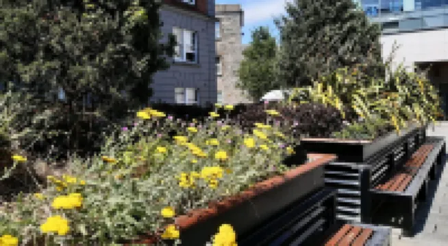 Griffith Halls of Residence Hotels in 