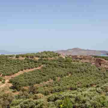 Hillside Seaview Apartment Others