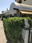 Hotel B&B Rispescia Grosseto Hotels in Alberese