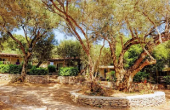 Camping Campo di Liccia - Maeva