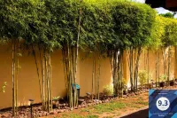 ไฮซาอพาร์ทเมนท์