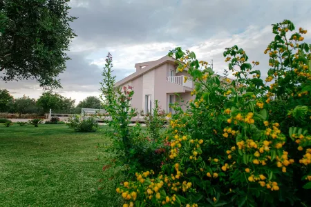 Barokhouse Отели в г. Шикли