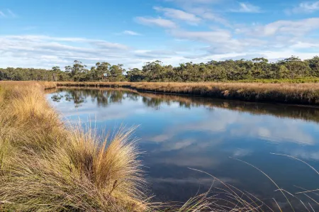 Cloudy Creek Cottage