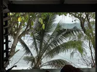 Dany Island - Ocean View