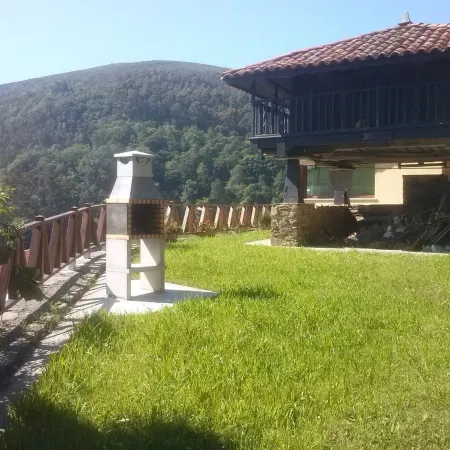 Beautiful views of the green nature from the inside Asturiana