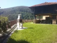 Beautiful views of the green nature from the inside Asturiana