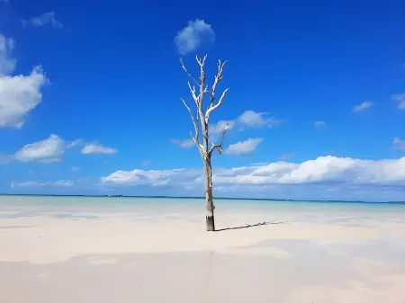 Coastal Chic - Cozy 2BR 3bd in charming Harbour Island Steps to Pink Sand Beach Отели в г. Данмор-Таун