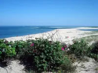 Old Cape Cod Charm in Chatham MA, 1/4 mile Walking Distance to Hardings Beach